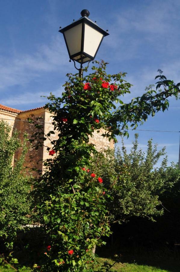 Vila El Jardin De Manuela Santibanez del Val Exteriér fotografie