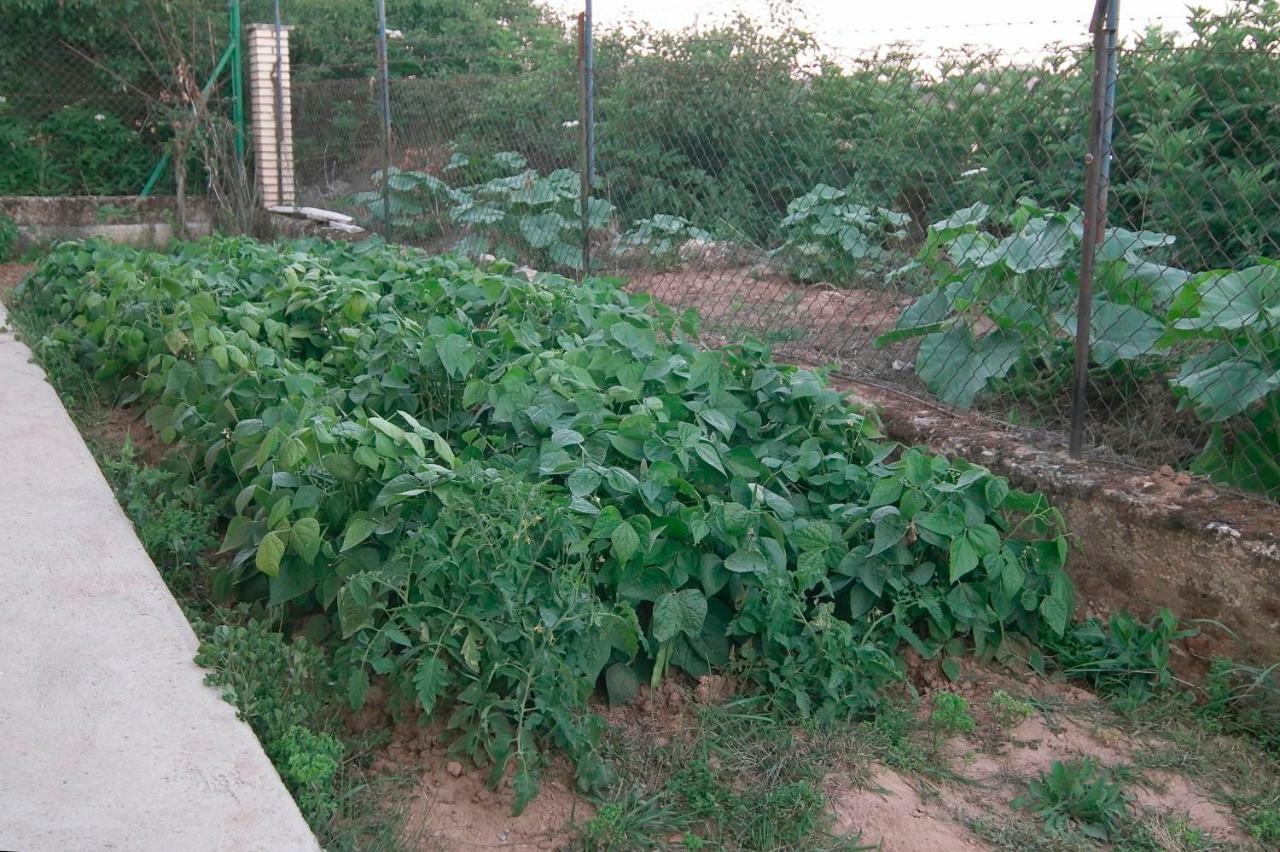 Vila El Jardin De Manuela Santibanez del Val Exteriér fotografie