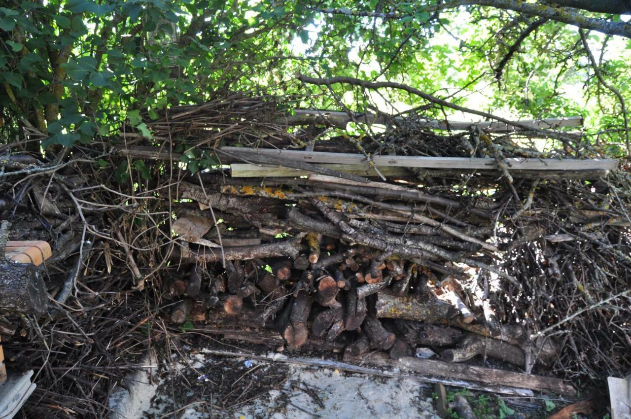 Vila El Jardin De Manuela Santibanez del Val Exteriér fotografie