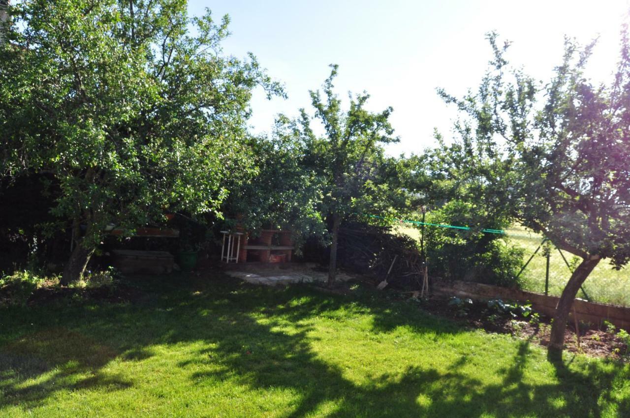 Vila El Jardin De Manuela Santibanez del Val Exteriér fotografie