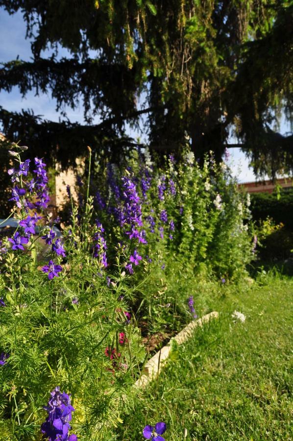 Vila El Jardin De Manuela Santibanez del Val Exteriér fotografie